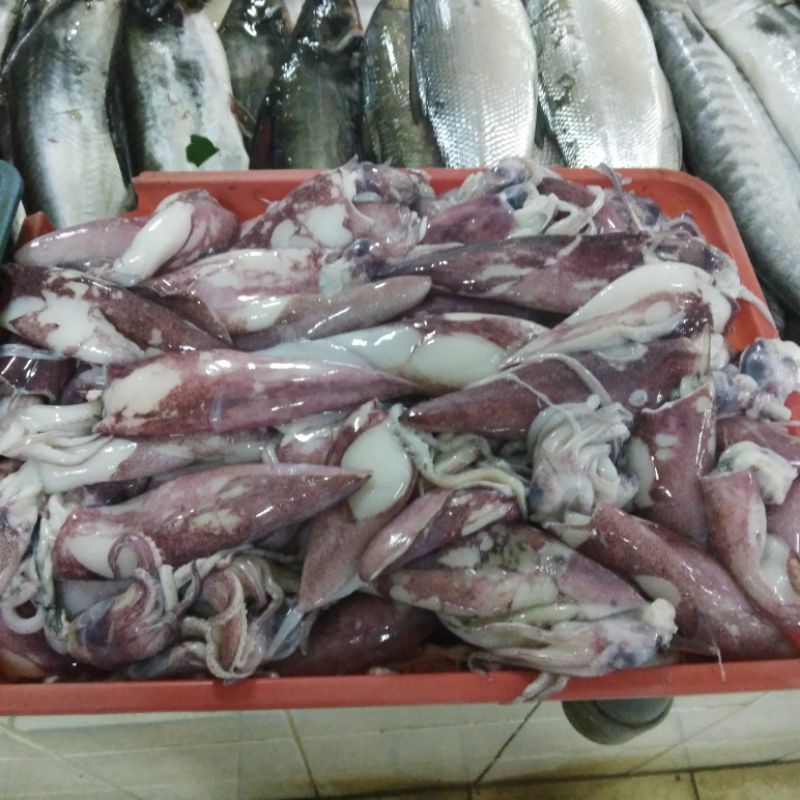 

CUMI CUMI / JUAL CUMI CUMI MURAH DI JAKARTA SELATAN
