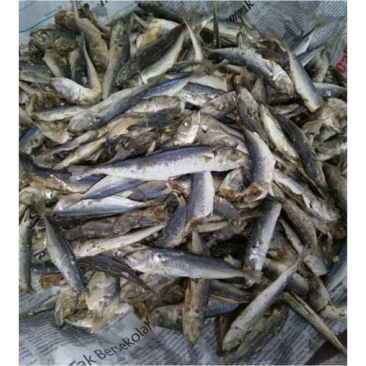 

Ikan Ogak Rebus ( @ 1.000 Gr )