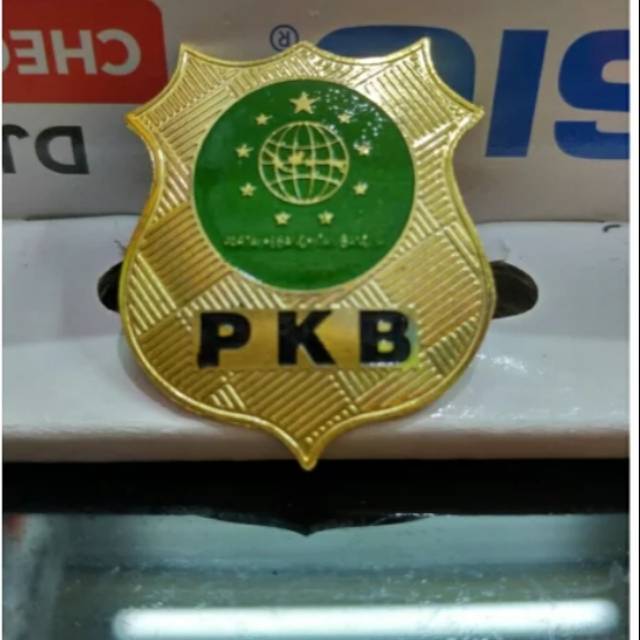 Pin PKB