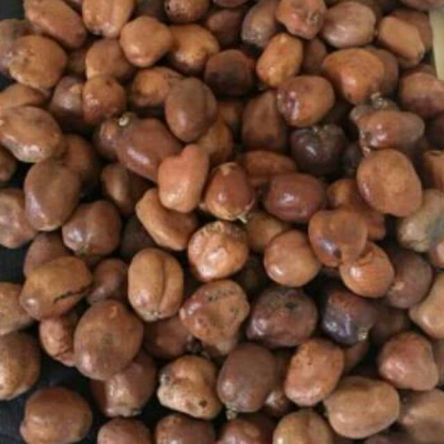 

BUAH ZURIAT MESIR, single+kembar utuh, 500gr