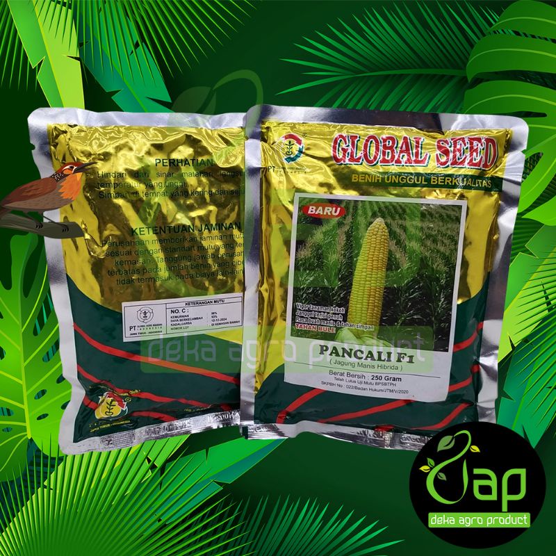 BENIH JAGUNG MANIS UNGGUL PANCALI F1 250GRAM GLOBAL SEED