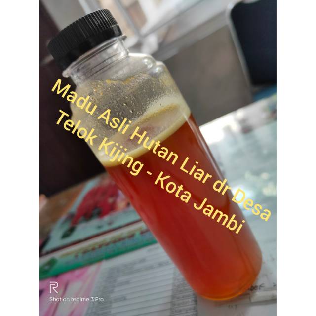 

Madu Hutan Liar Teluk Kijing