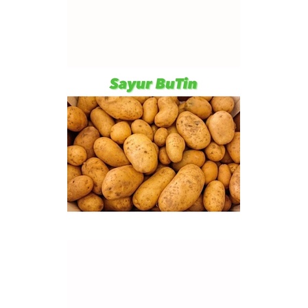 

KENTANG PEGUNUNGAN 500g - 1KG