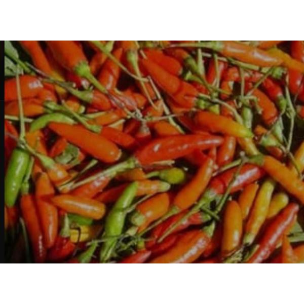 

CABE RAWIT MERAH PER 250 GRAM