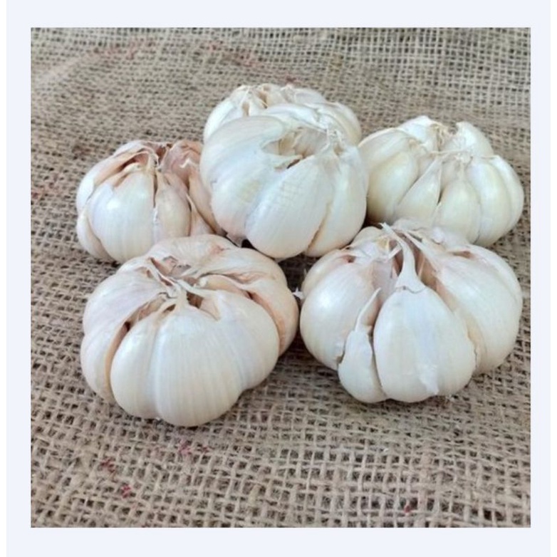 

Bawang Putih Bulat/ Banci 250 gram