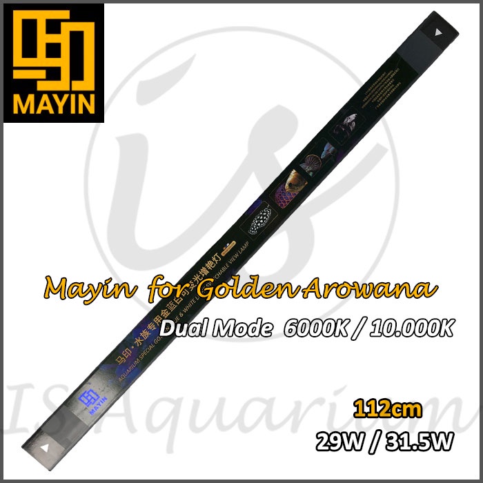 Mayin View Lamp Golden Lampu Celup Mayin LED Ikan Arowana 112cm