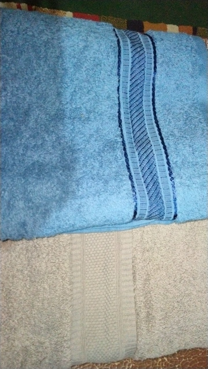 Raishacollection Handuk Terry Palmer Premium Polos (70 X 140)