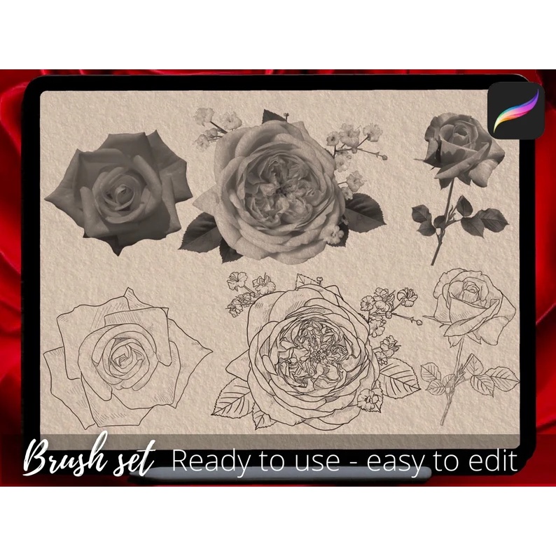 Procreate Brush - Roses Stencil Brushes Stamp