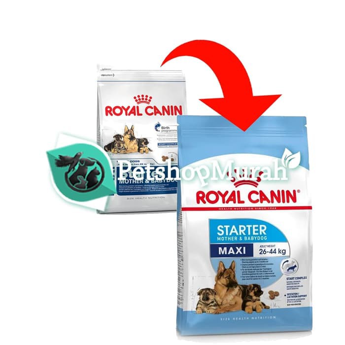 Royal Canin Maxi Starter Mother &amp; Babydog 4 Kg / Makanan Anjing