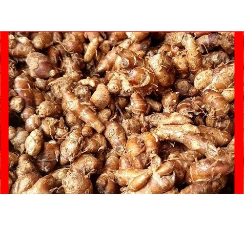 

Kencur Bumbu Rempah 100gr | Pasar Induk Pekanbaru #Harga_Grosir