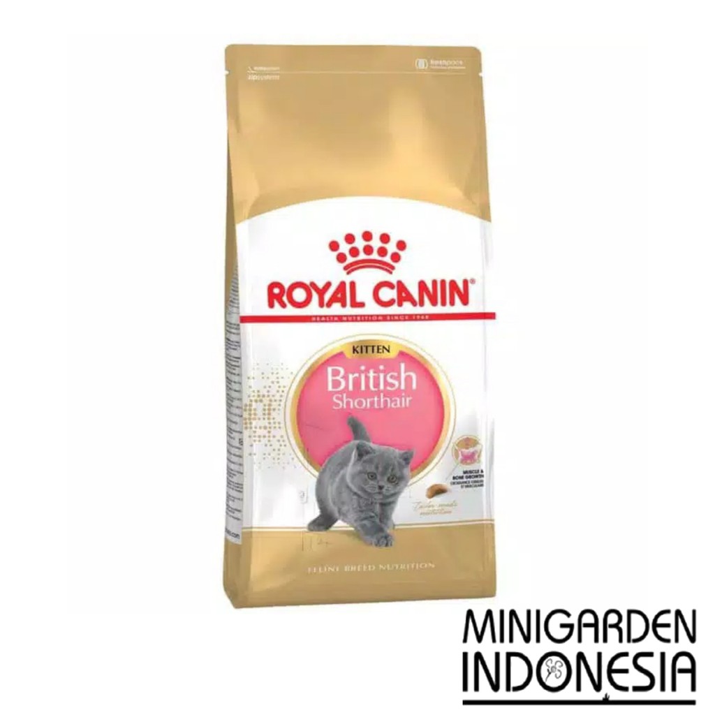 ROYAL CANIN KITTEN BRITISH SHORTHAIR 2KG makanan kucing catfood DRYFOOD 2 KG