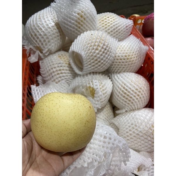 

Buah pear century 1kg