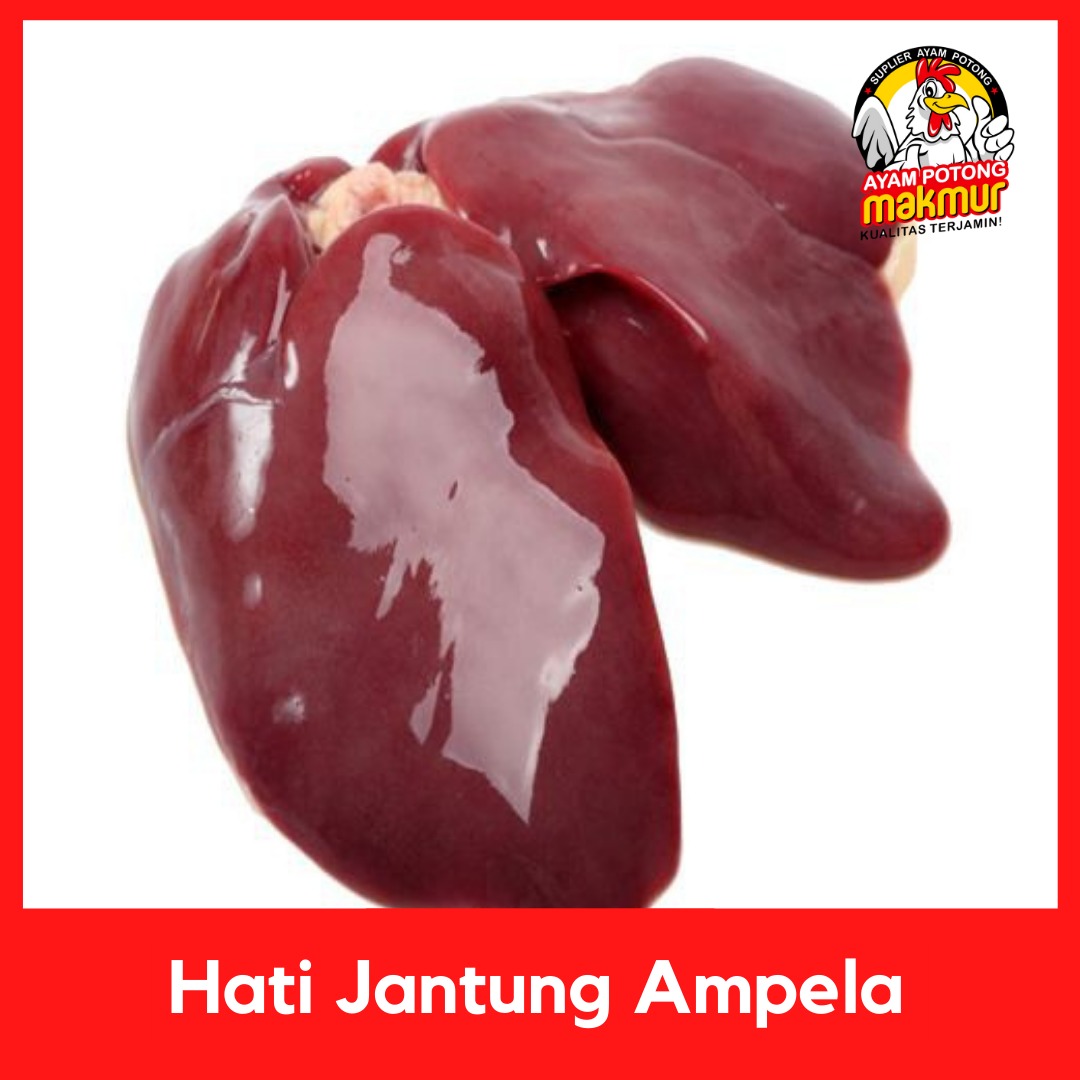 Hati Ampela Jantung Bersih Shopee Indonesia