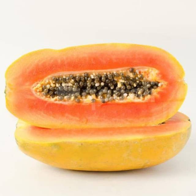 Benih bibit pepaya california unggul /friend's papaya