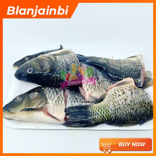 

Ikan Mas Bandung Area