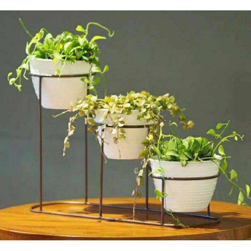 Rak Bunga Susun Besi Standing Pot Bunga Besi Rak Bunga Besi Rak Tanaman Tatakan Pot Besi Minimalis