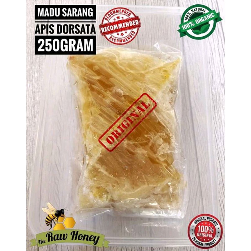 

madu sarang liar apis dorsata