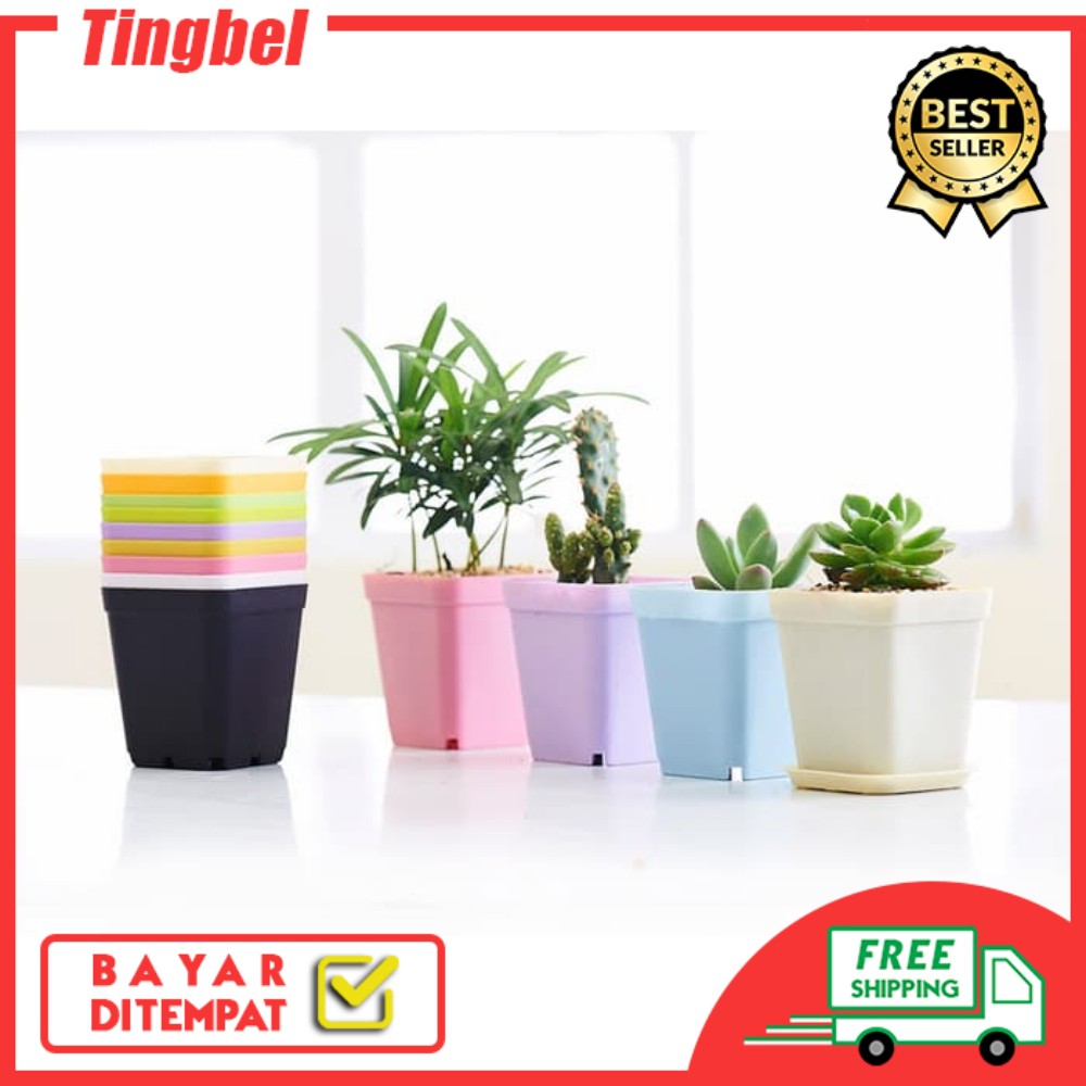  Pot  Bunga  Mini Cantik  Vas Plastik Colorful Vertical Flower 