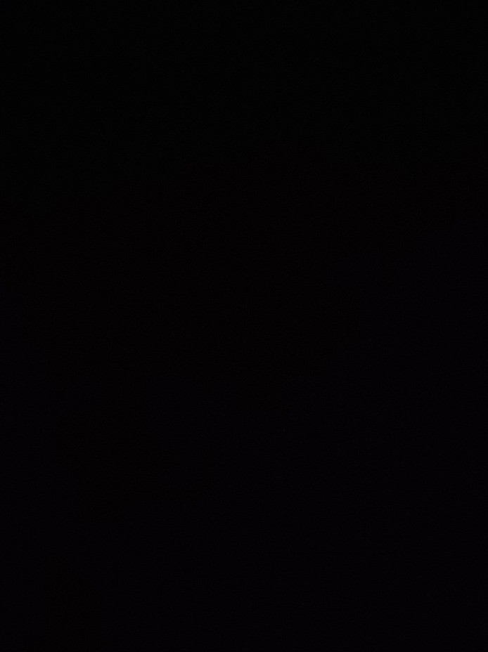 Bibit Jagung. Benih Jagung Hibrida F1 Pertiwi 3 (1 Kg)