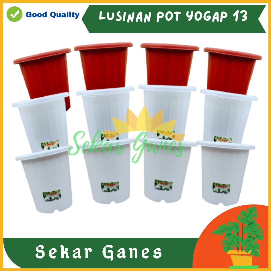 LUSINAN Pot Yogap 13