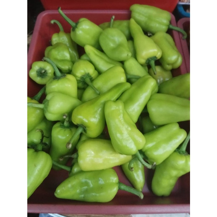 

Sambal-Aneka- Cabe Hijau Besar / Cabe Ijo / Cabe Pontianak / Cabe Kalimantan -Aneka-Sambal.