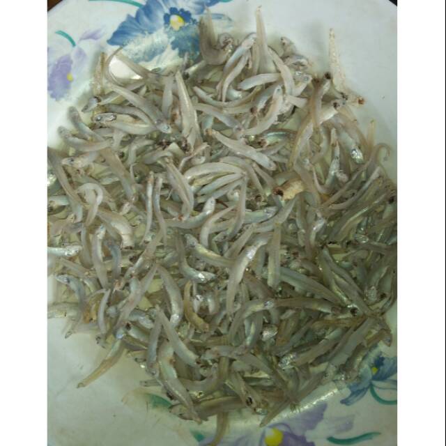 

Teri nasi ukuran 10-15cm, 500gr