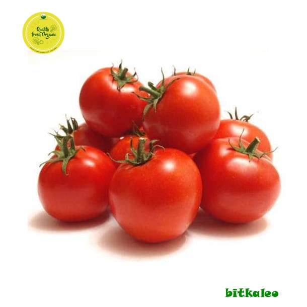 

Tomat Buah Organik 500 gr (PO)