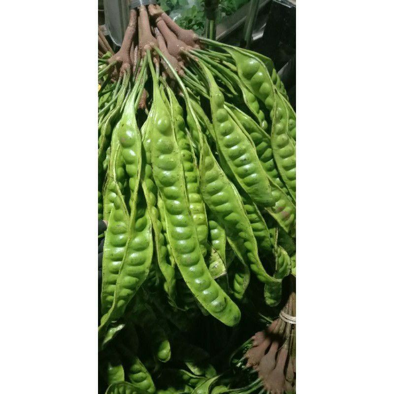

Pete Kacang besar-besar dijamin mantul(10pcs)