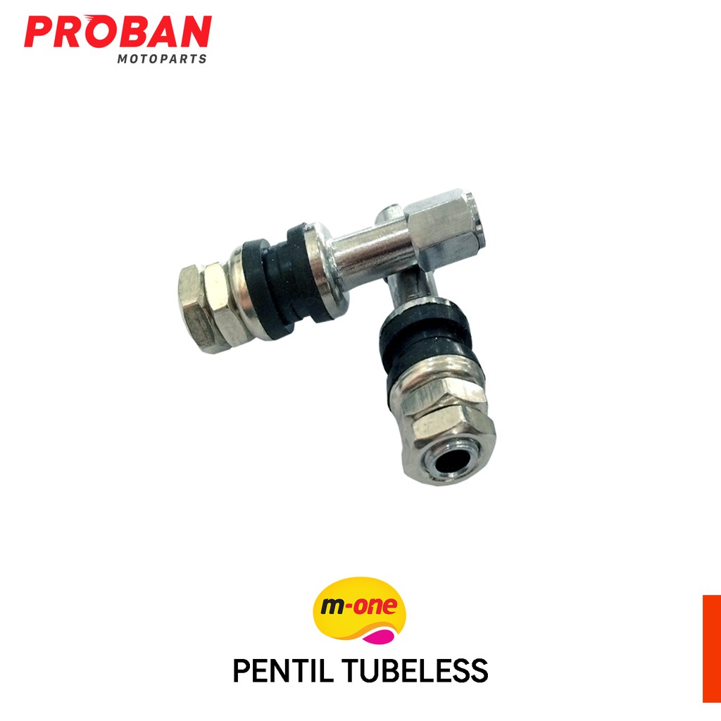 

PENTIL BESI TUBELESS PANJANG