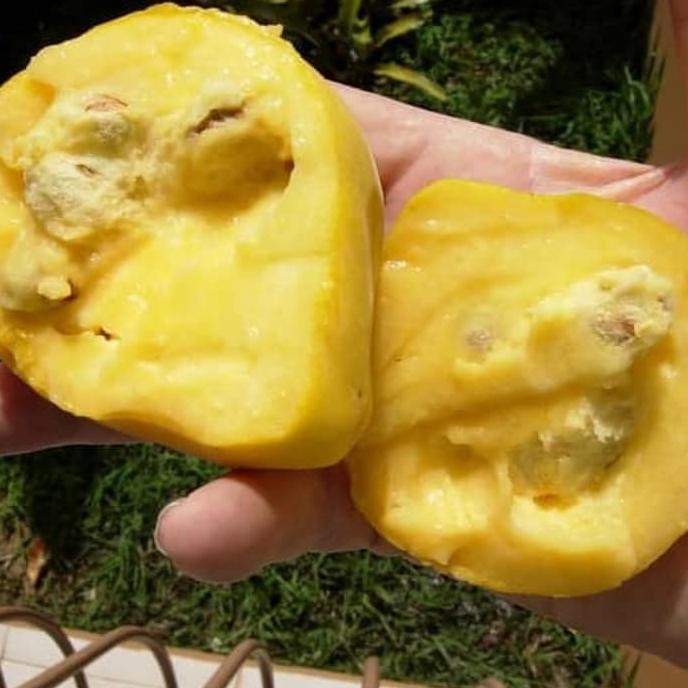 Bibit Tanaman Buah Araza ( Araca Boi )