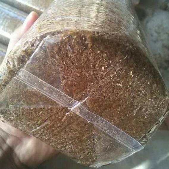 ⚡GROSIR⚡ Plastik baglog jamur tiram jenis pp ukuran 0,4x18x35 harga bersaing