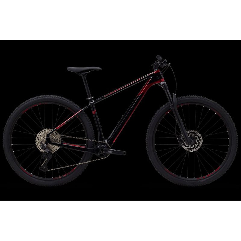 SEPEDA CARBON MTB POLYGON SYNCLINE C3