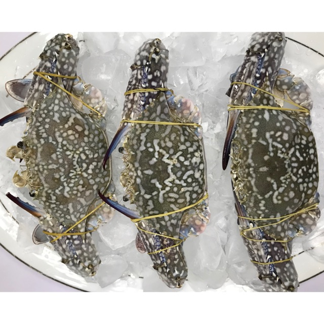 Rajungan Segar 1 kg