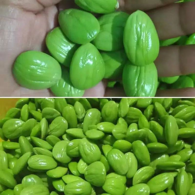 

PETAI PADI KUPAS FRESH 500gram