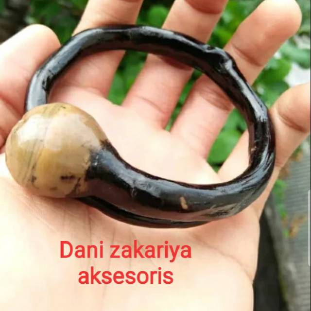 Akar bahar original asli bonggol berbatu alami bahan lentur murah meriah berkualitas.