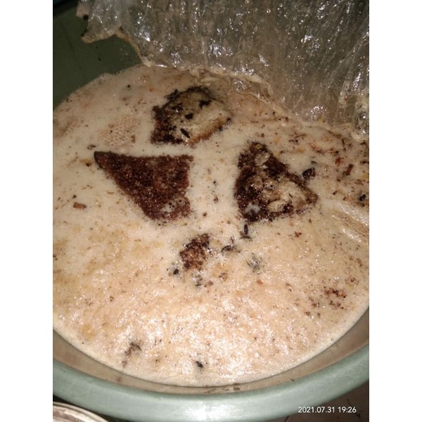 madu sialang dari hutan sumatera