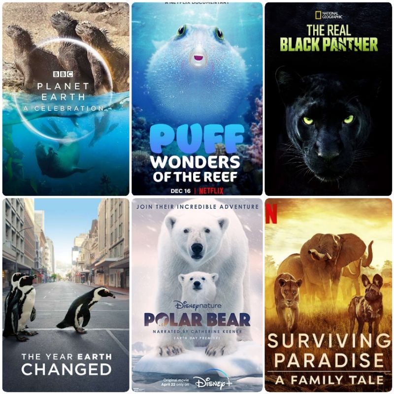 12 Film Dokumenter Animal Planet Hewan Kualitas BluRay FullHD Subtitle Indonesia