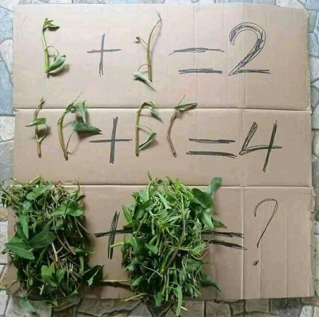 Parcel Kemasan Ultah Lunch Box + Gelas Minum Ultah