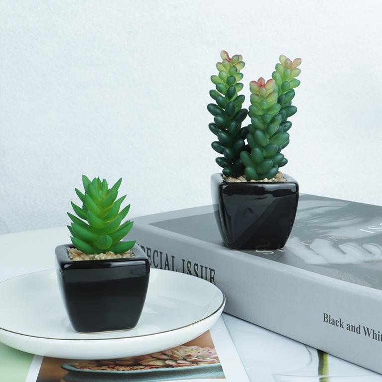 L5C4 Aonez bunga hias bunga artificial bunga mini hiasan tanaman kaktus hias dengan pot GVM