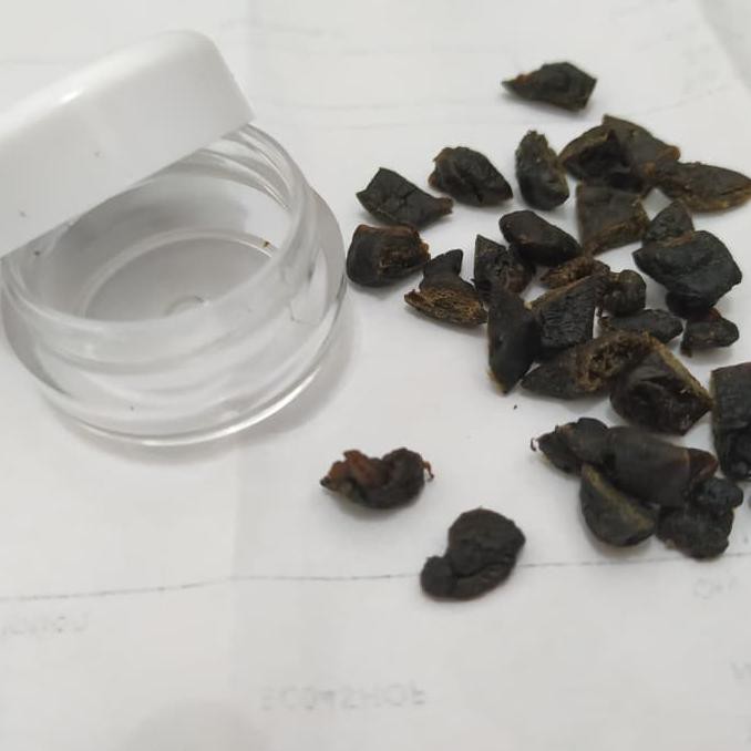 

Bestseller! Mpot Biang Isi 30 Potong