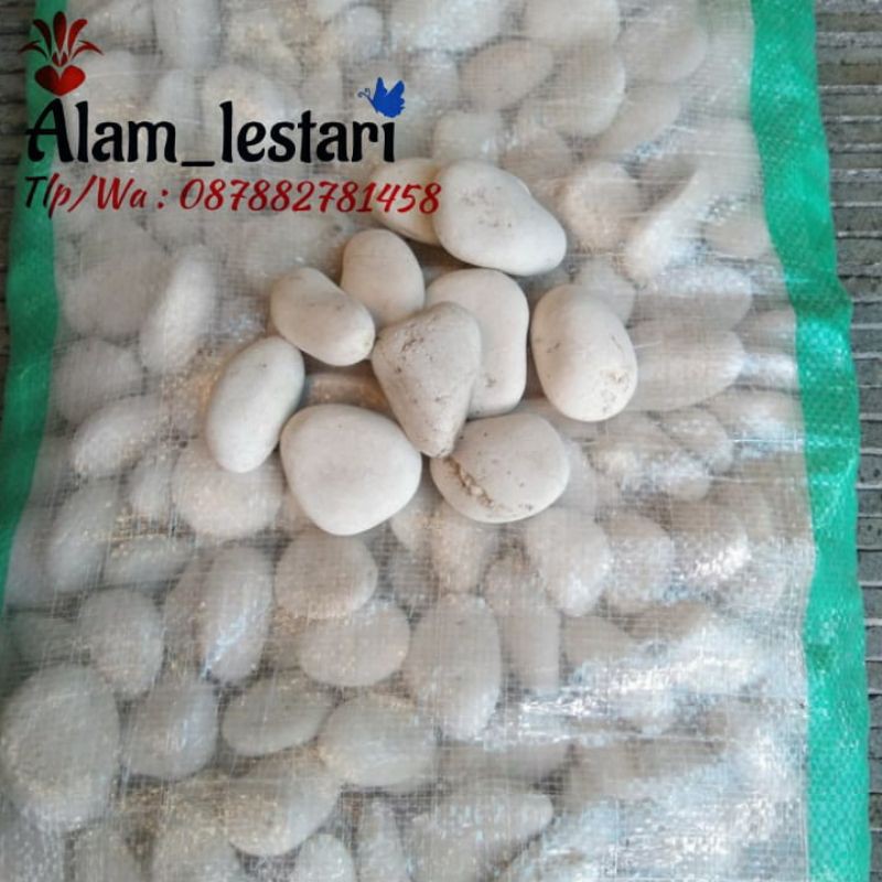 Batu hias koral putih 10kg