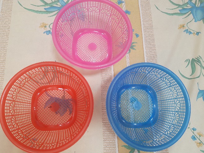 Ceting Nasi Plastik / Wakul Nasi Tradisional / Ceting Besek Hajatan.