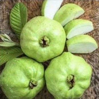 

Jambu Kristal