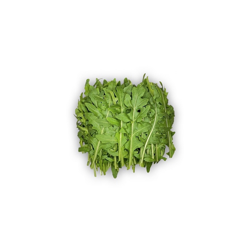 

SAYUR ORGANIK Arugula