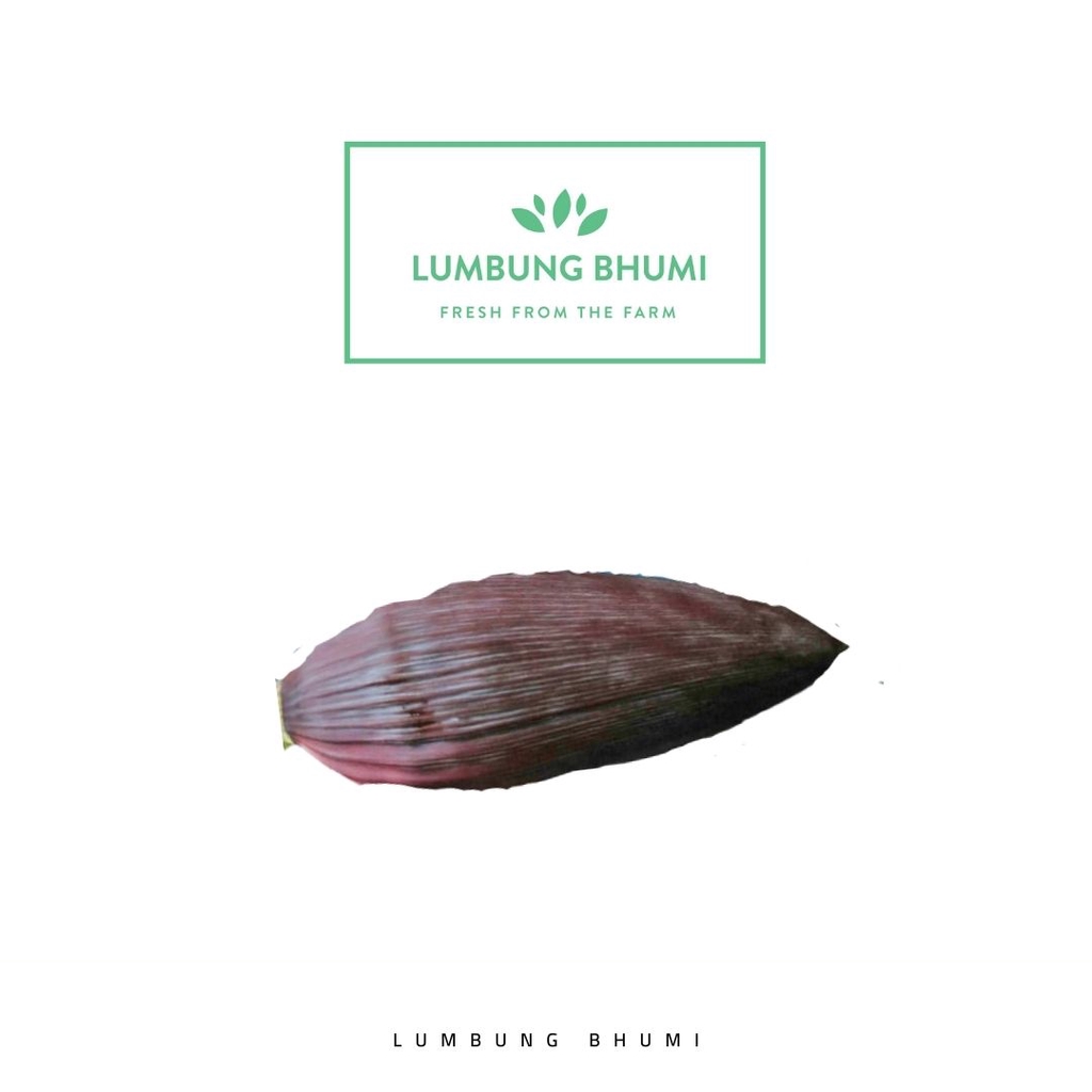 

Lumbung Bhumi - Jantung Pisang 500 Gr ( Sayur Curah )