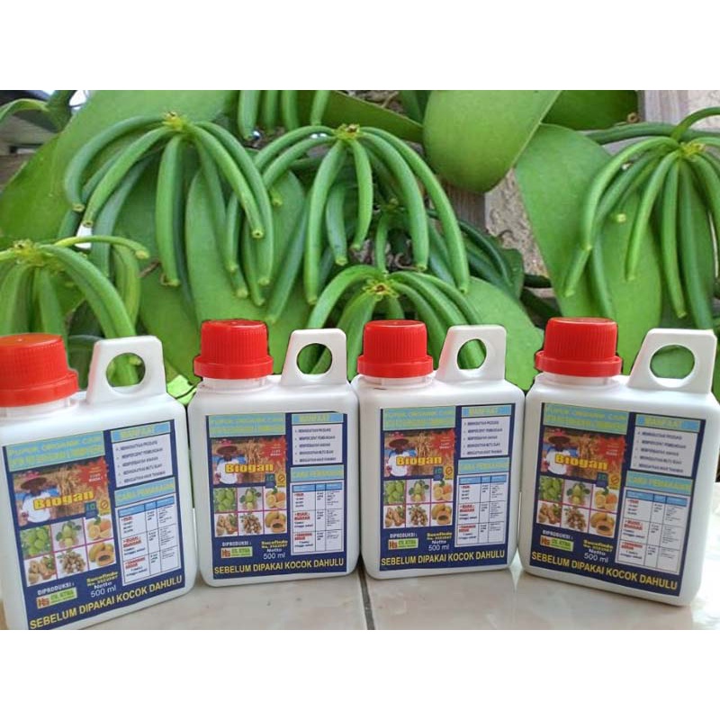 Pupuk Organik Cair Biogan Untuk Tanaman Vanili 500ml