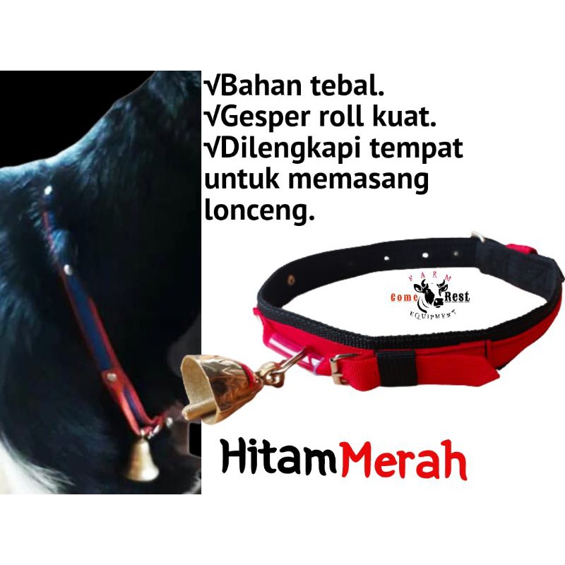 KALUNG KAMBING, DOMBA DAN ANJING