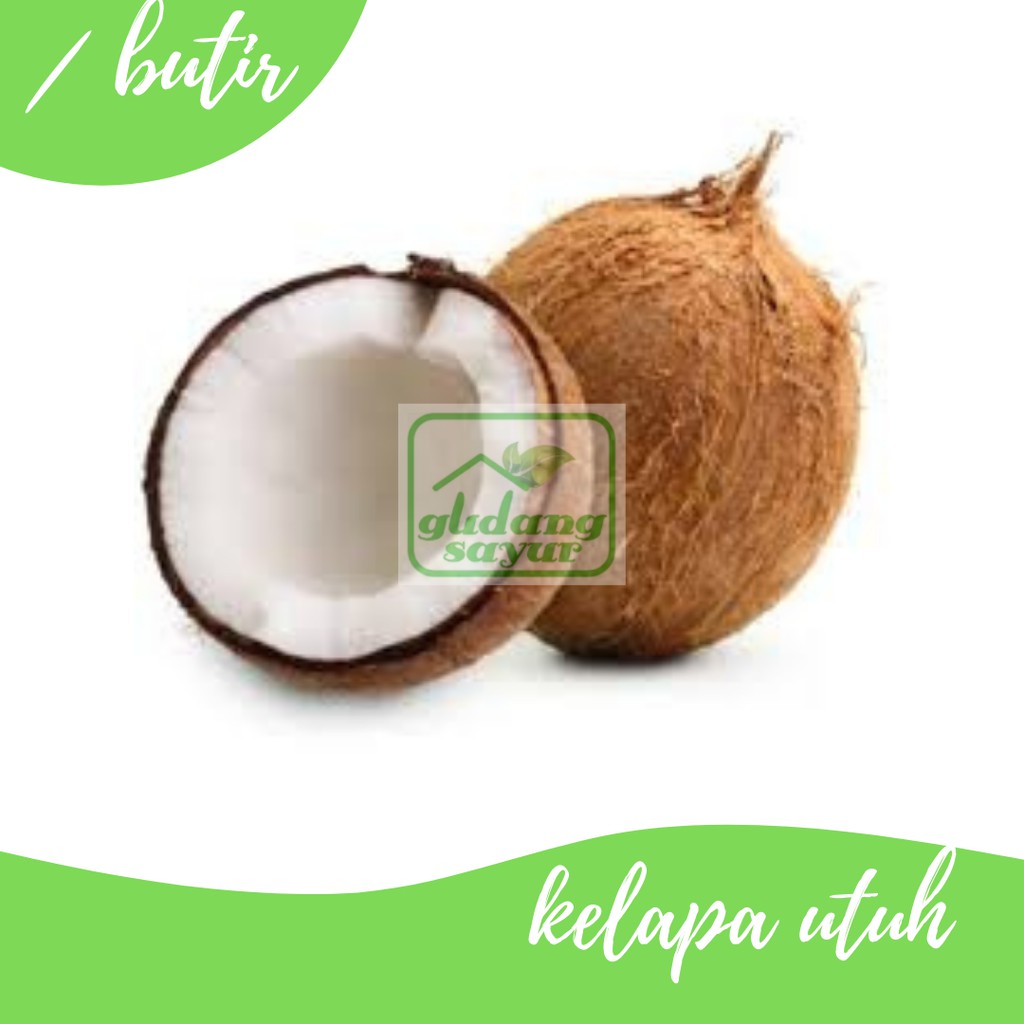 

Kelapa 1 butir Gudang Sayur Purwokerto