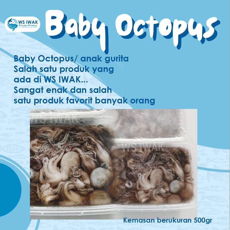 

BABY OCTOPUS(guritabayi)