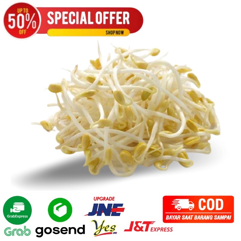 

Toge / kecambah fresh 250 sayuran segar Bandung